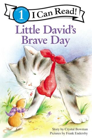 9780310717096 Little Davids Brave Day Level 1