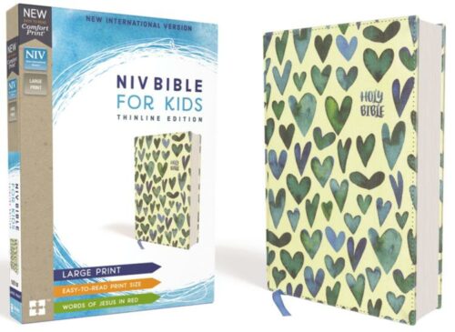 9780310764199 Bible For Kids Large Print Comfort Print