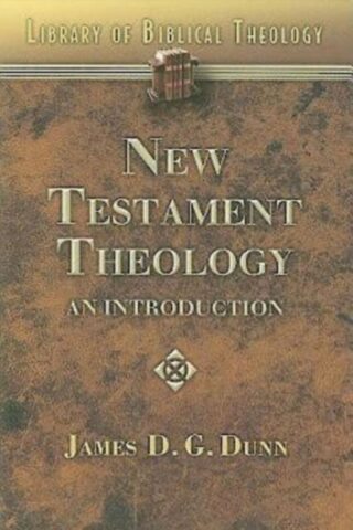 9780687341207 New Testament Theology