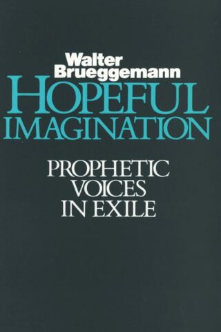 9780800619251 Hopeful Imagination : Prophetic Voices In Exile