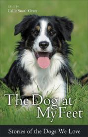 9780800723095 Dog At My Feet (Reprinted)