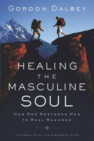 9780849944383 Healing The Masculine Soul