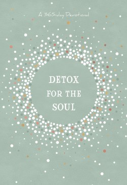 9781424566716 Detox For The Soul