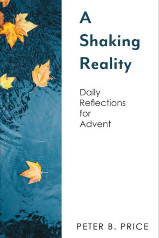 9781506462080 Shaking Reality : Daily Reflections For Advent