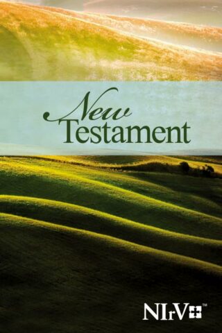 9781563207037 Outreach New Testament