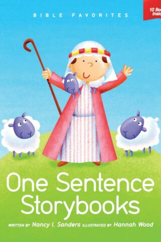 9781589977990 Bible Favorites One Sentence Storybooks