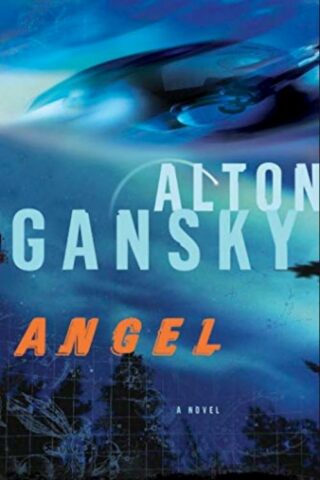 9781599791807 Angel : A Novel