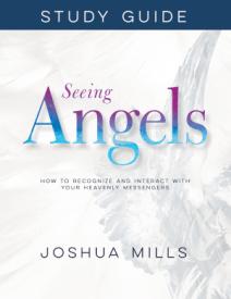 9781641234207 Seeing Angels Study Guide (Student/Study Guide)