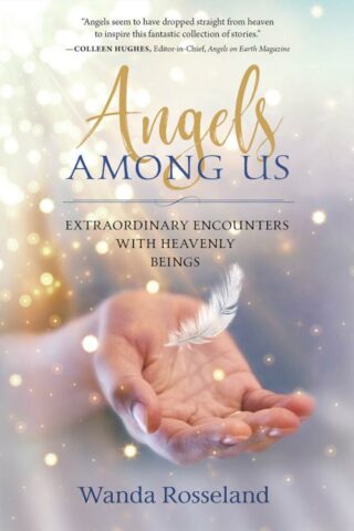 9781683970514 Angels Among Us