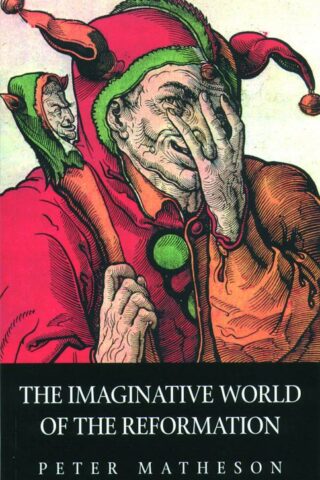 9780800632915 Imaginative World Of The Reformation