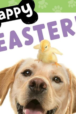 9781546006466 Yappy Easter