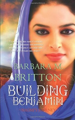 9781611168839 Building Benjamin : Naomi's Journey