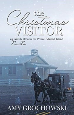 9781620207260 Christmas Visitor : Novella