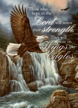 759830248433 Isaiah 40: 31 Eagle