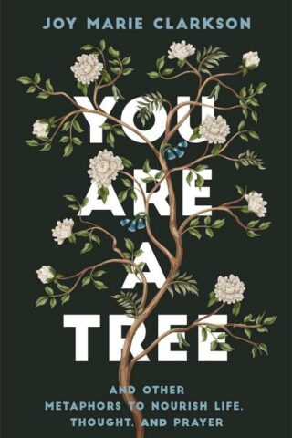 9780764238253 You Are A Tree