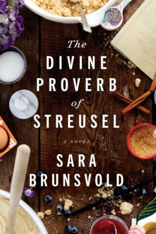 9780800745608 Divine Proverb Of Streusel