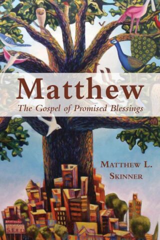 9781791030131 Matthew : The Gospel Of Promised Blessings (Student/Study Guide)