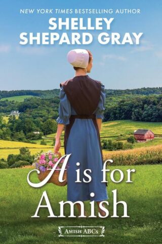 9781496748843 A Is For Amish