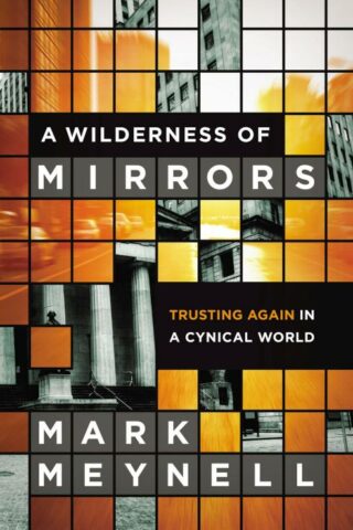 9780310515265 Wilderness Of Mirrors