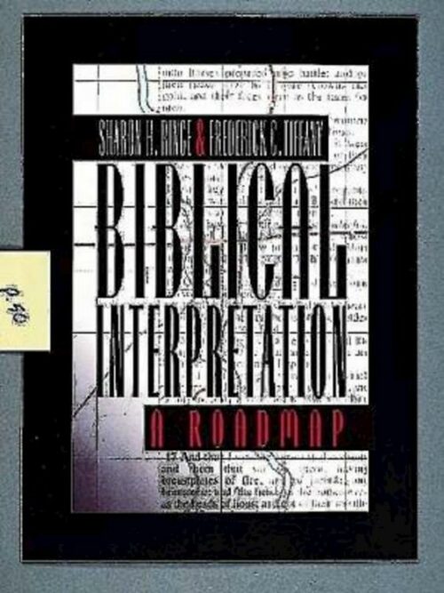 9780687016082 Biblical Interpretation : A Road Map