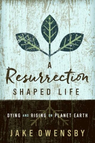 9781501870811 Resurrection Shaped Life