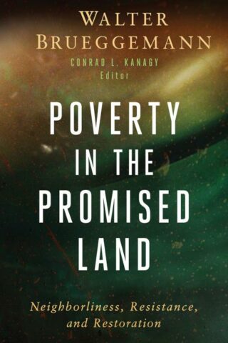 9798889831389 Poverty In The Promised Land