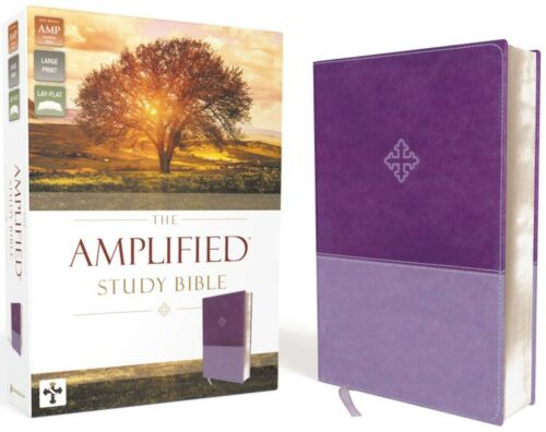 9780310446521 Amplified Study Bible