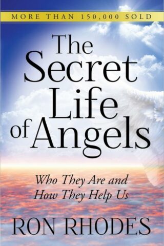 9780736948791 Secret Life Of Angels