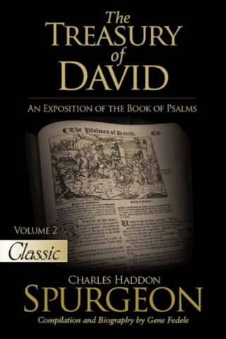 9781610369923 Treasury Of David Volume 2