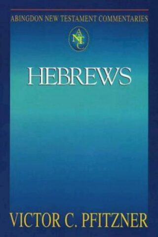 9780687057245 Hebrews : NRSV