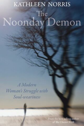 9780745953663 Noonday Demon : A Modern Woman's Struggle With Soulweariness