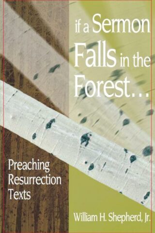 9780788019371 If A Sermon Falls In The Forest