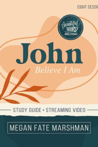 9780310152651 John Study Guide Plus Streaming Video (Student/Study Guide)