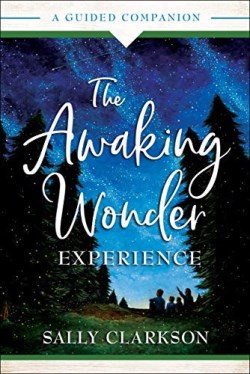 9780764236082 Awaking Wonder Experience