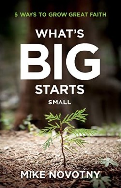 9780764240034 Whats Big Starts Small