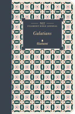 9781496458735 Filament Bible Journal Galatians