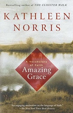 9781573227216 Amazing Grace : A Vocabulary Of Faith