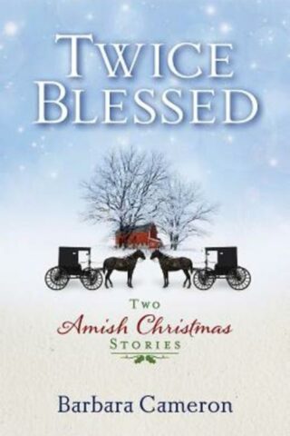 9781630881115 Twice Blessed : Two Amish Christmas Stories