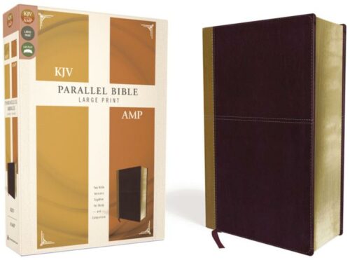 9780310446705 KJV Amplified Parallel Bible Large Print