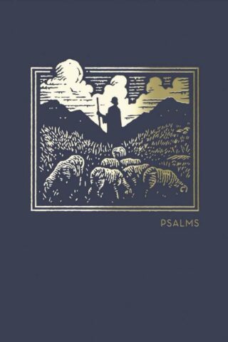 9780785237075 NET Abide Bible Journal Psalms Comfort Print