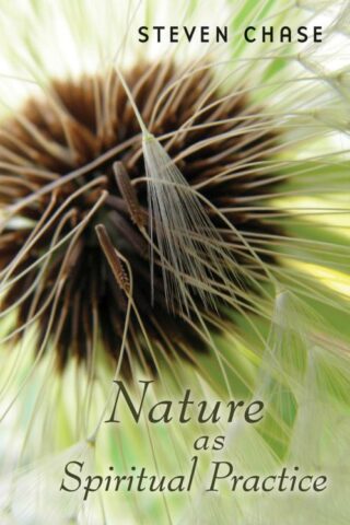 9780802840103 Nature As Spiritual Practice