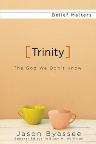 9781630887865 Trinity : The God We Dont Know