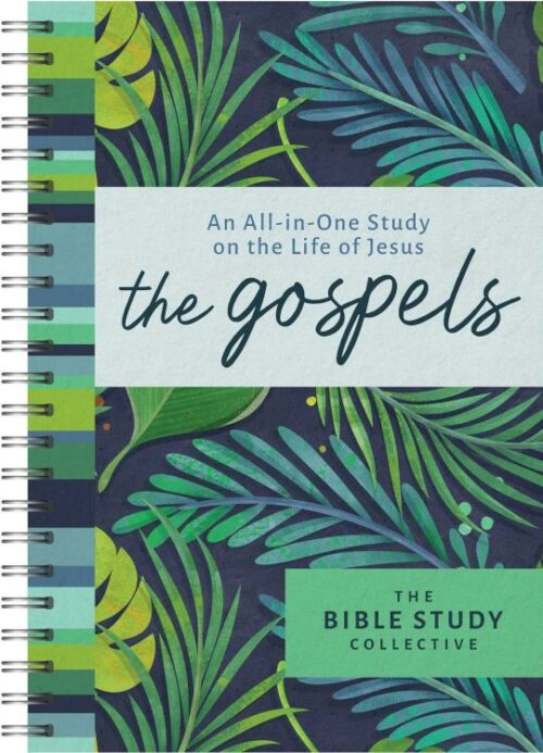 9798891510333 Gospels : An All-in-One Study On The Life Of Jesus