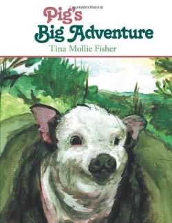 9781449750206 Pigs Big Adventure