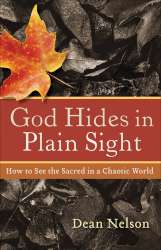 9781587432330 God Hides In Plain Sight