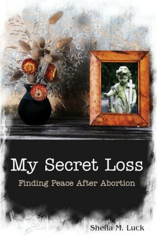 9781622450039 My Secret Loss