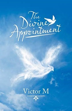 9781973684336 Divine Appointment