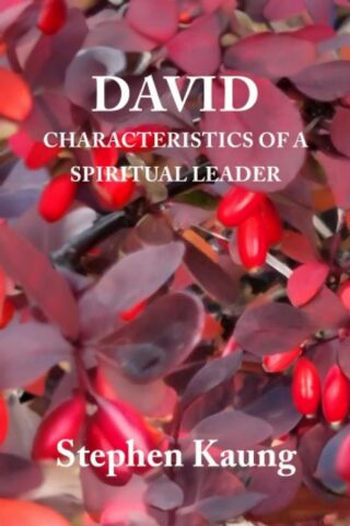 9781680621662 David : Characteristics Of A Spiritual Leader