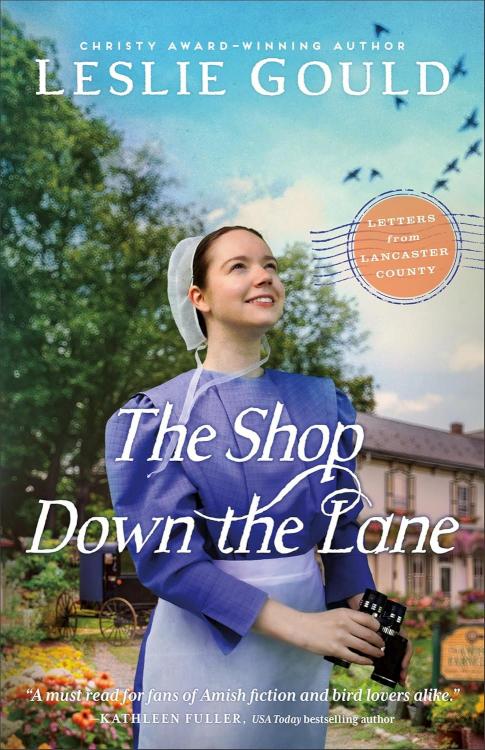 9780764244223 Shop Down The Lane