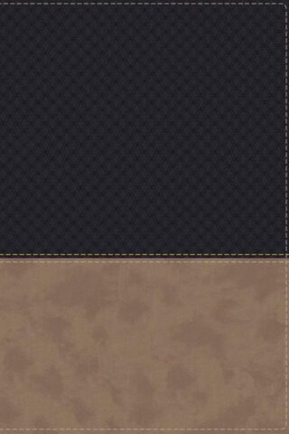 9780310448990 Study Bible Fully Revised Edition Comfort Print